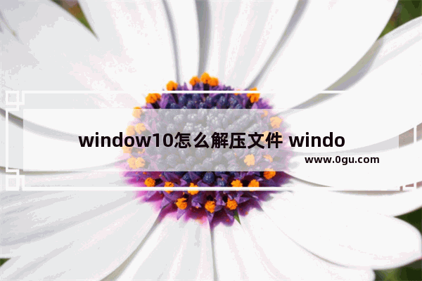 window10怎么解压文件 windows10怎么解压文件夹