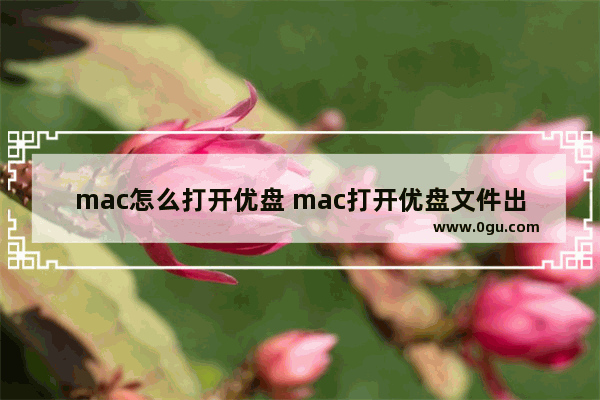 mac怎么打开优盘 mac打开优盘文件出现重复文件夹