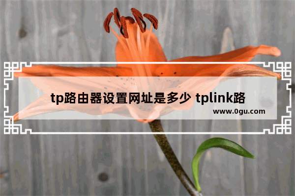 tp路由器设置网址是多少 tplink路由器登录入口