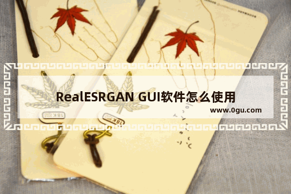 RealESRGAN GUI软件怎么使用 RealESRGAN GUI软件的使用方法