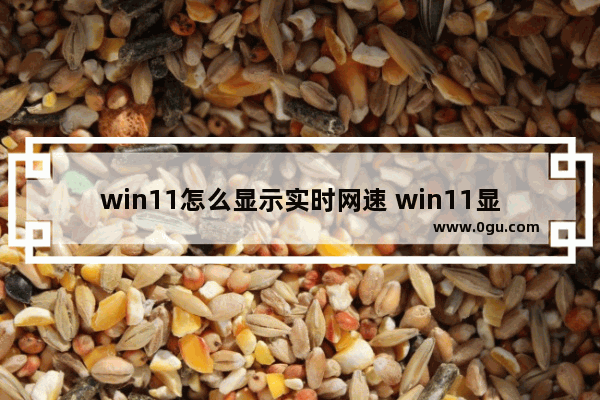 win11怎么显示实时网速 win11显示实时网速方法分享