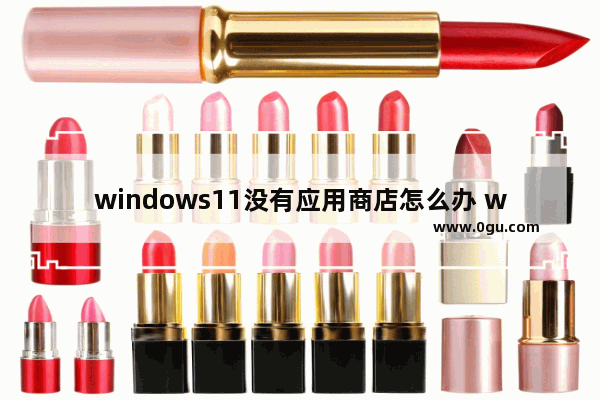 windows11没有应用商店怎么办 windows11没有应用商店解决方法