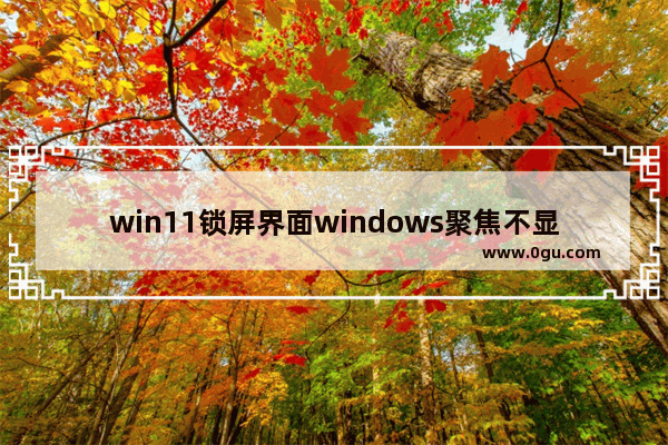 win11锁屏界面windows聚焦不显示怎么办