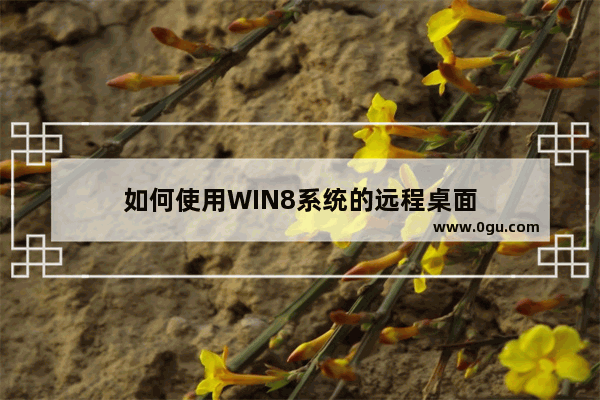 如何使用WIN8系统的远程桌面