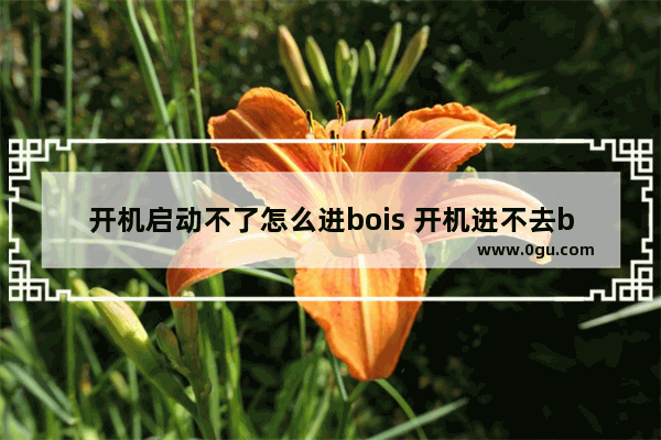 开机启动不了怎么进bois 开机进不去blos