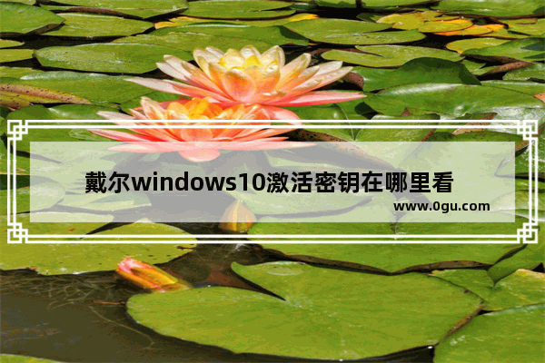 戴尔windows10激活密钥在哪里看 戴尔windows10激活密钥怎么看