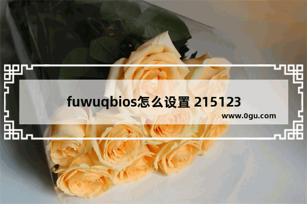 fuwuqbios怎么设置 2151236bios设置