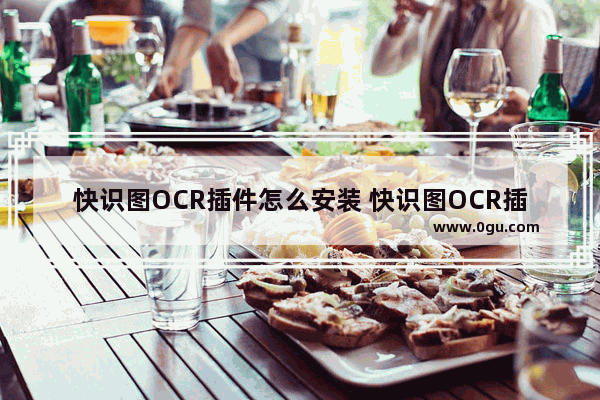 快识图OCR插件怎么安装 快识图OCR插件进行安装的方法