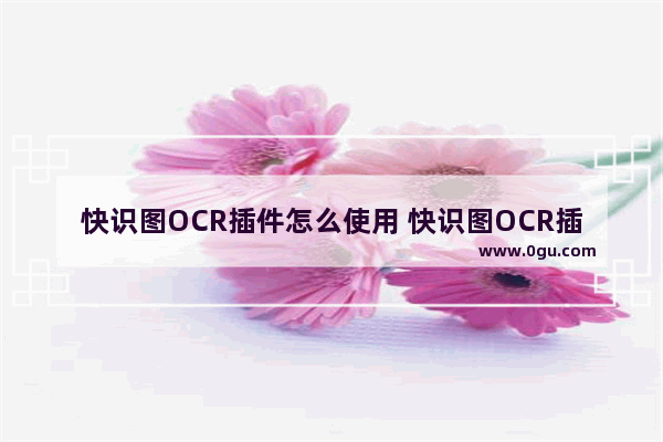 快识图OCR插件怎么使用 快识图OCR插件的使用方法