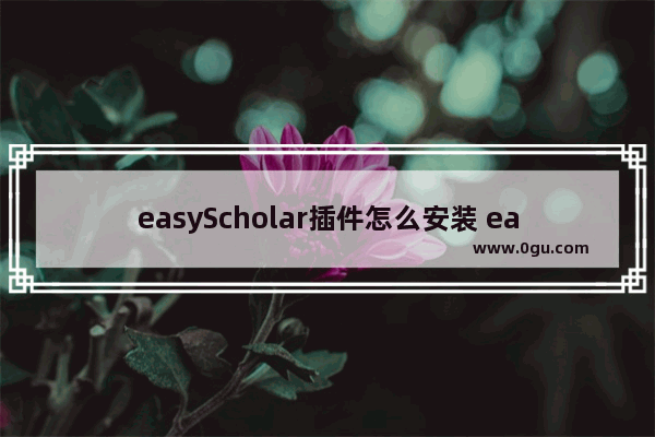 easyScholar插件怎么安装 easyScholar插件安装的方法