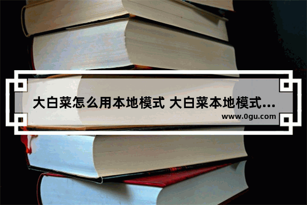 大白菜怎么用本地模式 大白菜本地模式是干什么的