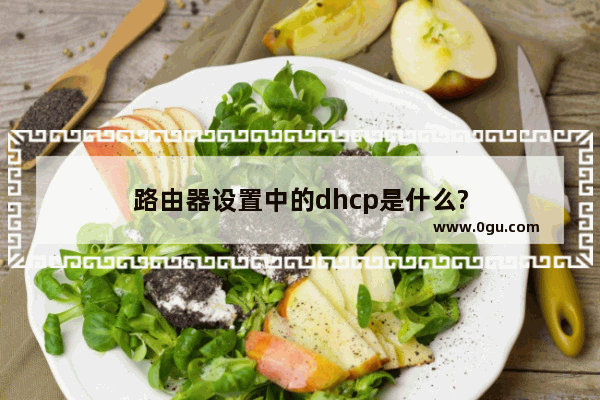 路由器设置中的dhcp是什么?