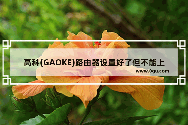 高科(GAOKE)路由器设置好了但不能上网怎么回事