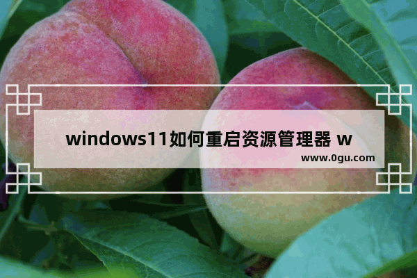 windows11如何重启资源管理器 windows11如何重启资源管理器方法介绍