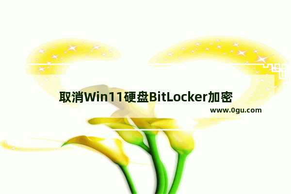 取消Win11硬盘BitLocker加密的方法和指南