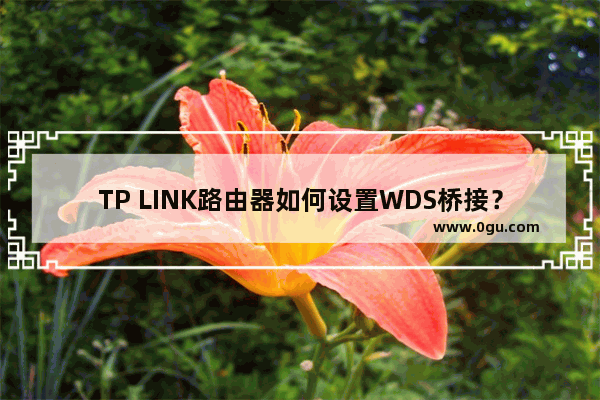 TP LINK路由器如何设置WDS桥接？