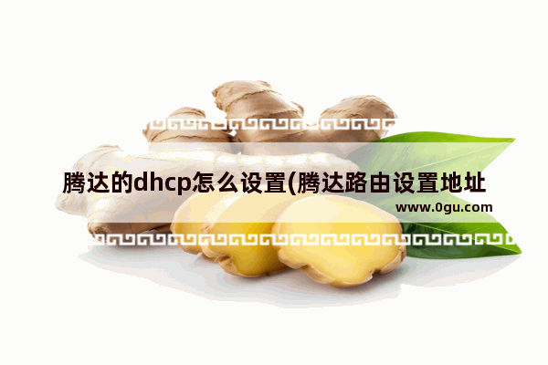 腾达的dhcp怎么设置(腾达路由设置地址)