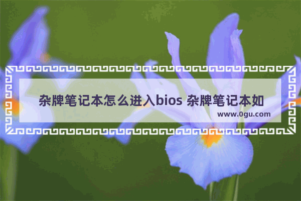 杂牌笔记本怎么进入bios 杂牌笔记本如何进入bios