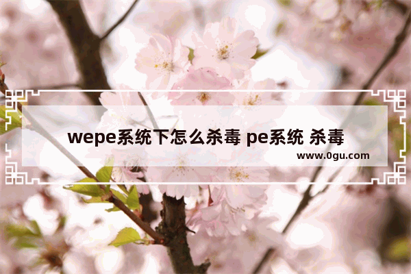 wepe系统下怎么杀毒 pe系统 杀毒