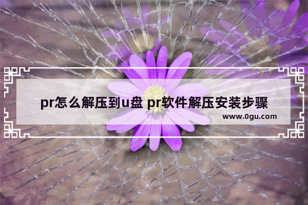 pr怎么解压到u盘 pr软件解压安装步骤