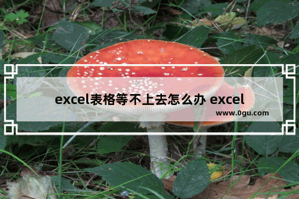 excel表格等不上去怎么办 excel不能等于前面一个表格了