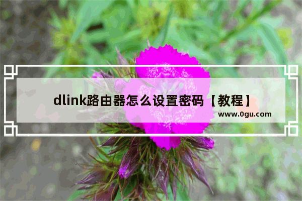 dlink路由器怎么设置密码【教程】