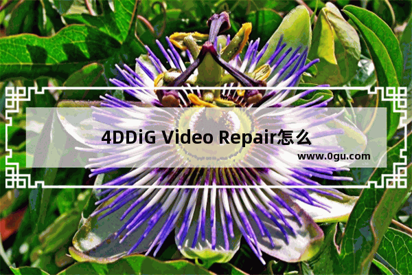 4DDiG Video Repair怎么批量修复图片 4DDiG Video Repair批量修复图片的方法