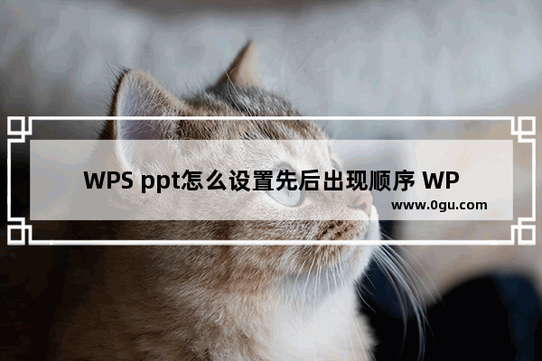 WPS ppt怎么设置先后出现顺序 WPS ppt设置先后出现顺序的方法