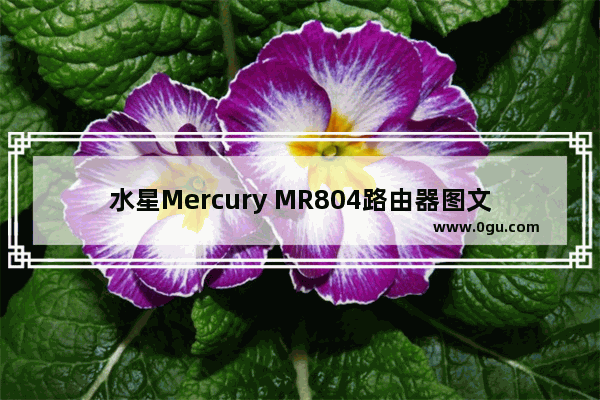 水星Mercury MR804路由器图文设置