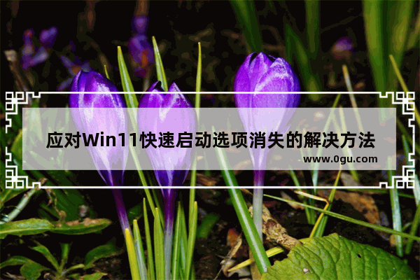 应对Win11快速启动选项消失的解决方法