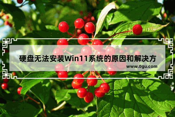 硬盘无法安装Win11系统的原因和解决方法