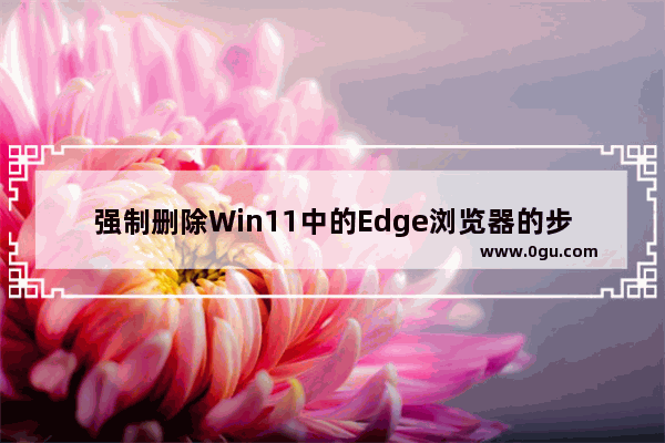 强制删除Win11中的Edge浏览器的步骤和解决方案