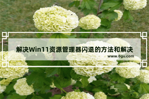 解决Win11资源管理器闪退的方法和解决方案