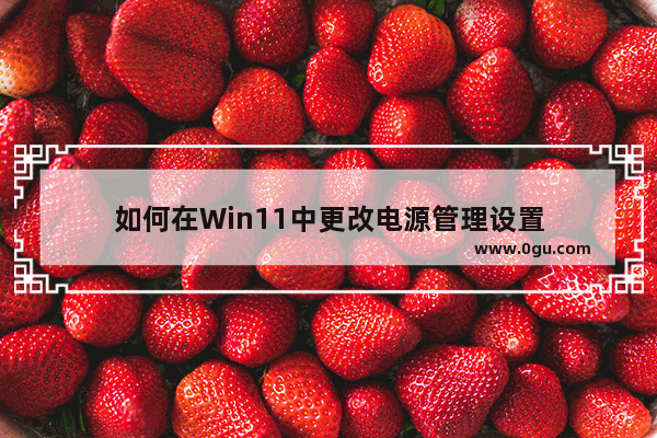 如何在Win11中更改电源管理设置