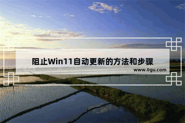 阻止Win11自动更新的方法和步骤