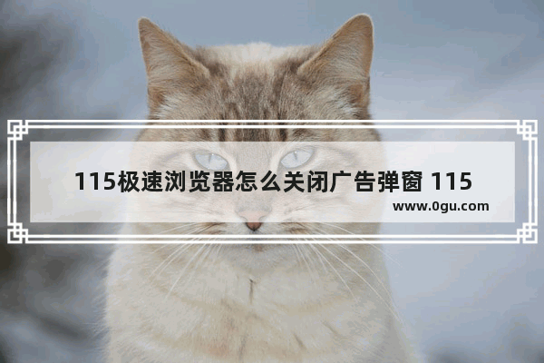 115极速浏览器怎么关闭广告弹窗 115极速浏览器关闭广告弹窗的方法