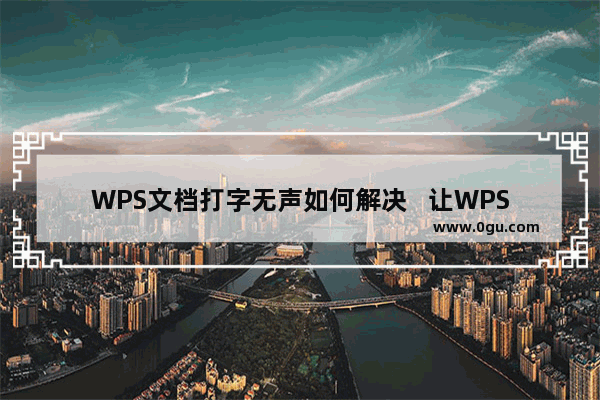 WPS文档打字无声如何解决   让WPS文档正常输入文字的方法