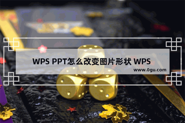 WPS PPT怎么改变图片形状 WPS PPT改变图片形状的方法