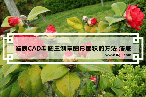 浩辰CAD看图王测量图形面积的方法 浩辰CAD看图王如何测量图形面积