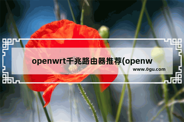 openwrt千兆路由器推荐(openwrt路由器设置教程)