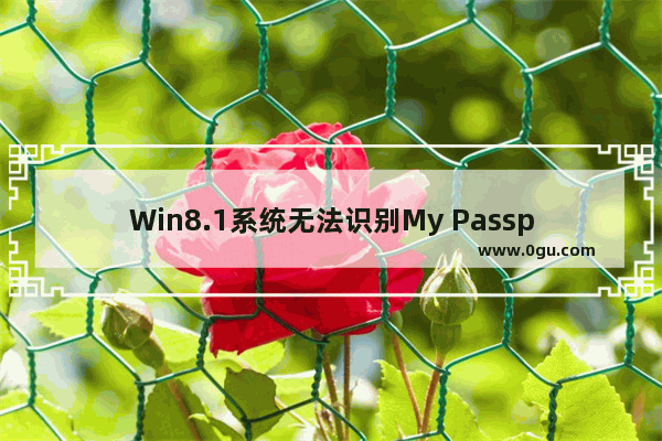 Win8.1系统无法识别My Passport USB3.0移动硬盘的处理方法