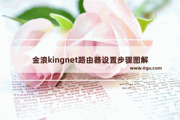 金浪kingnet路由器设置步骤图解