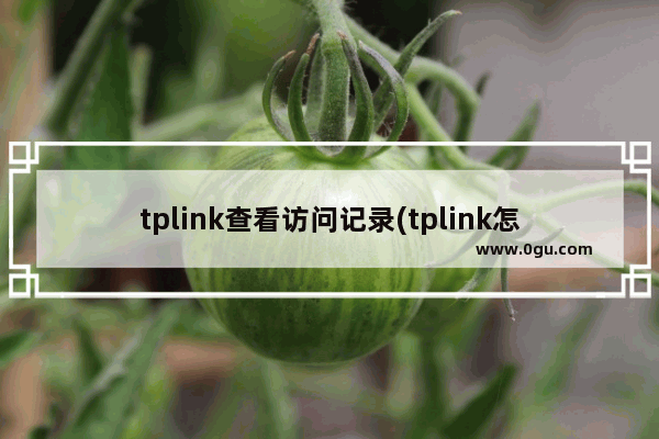 tplink查看访问记录(tplink怎么通过路由器查宽带账号和密码)