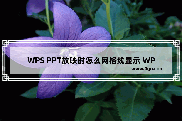 WPS PPT放映时怎么网格线显示 WPS PPT放映时显示网格线的方法