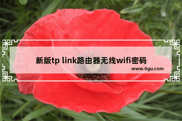 新版tp link路由器无线wifi密码忘记了如何解决【解决方法】