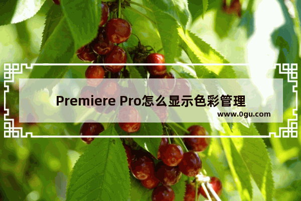 Premiere Pro怎么显示色彩管理