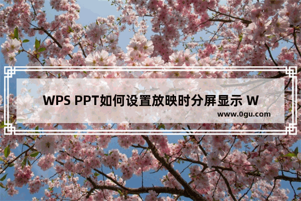 WPS PPT如何设置放映时分屏显示 WPS PPT设置放映时分屏显示的方法