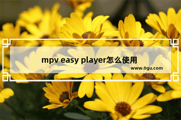 mpv easy player怎么使用 mpv easy player的使用方法