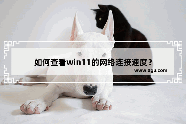 如何查看win11的网络连接速度？