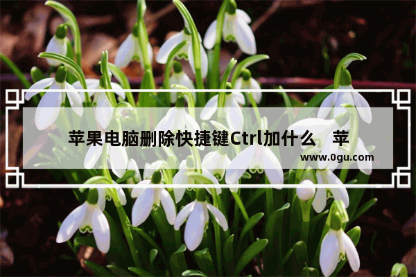 苹果电脑删除快捷键Ctrl加什么   苹果电脑删除快捷键使用的按键